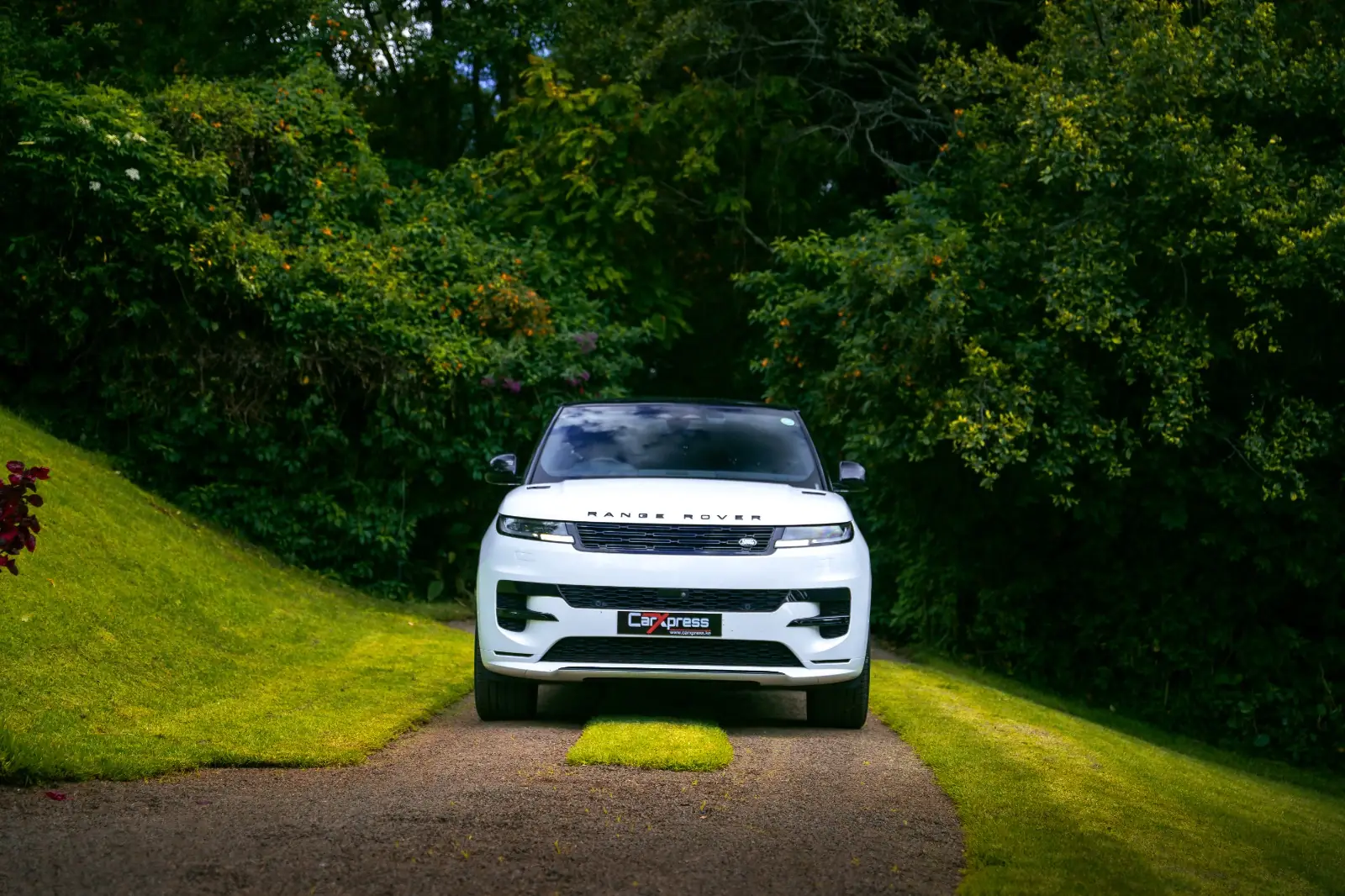 Find a car within your budget